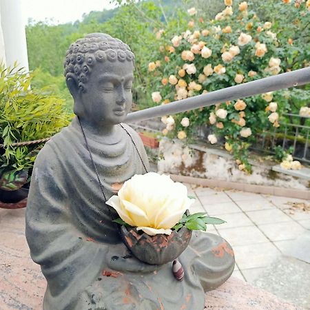 Amrita Rosa Otel Castellamonte Dış mekan fotoğraf