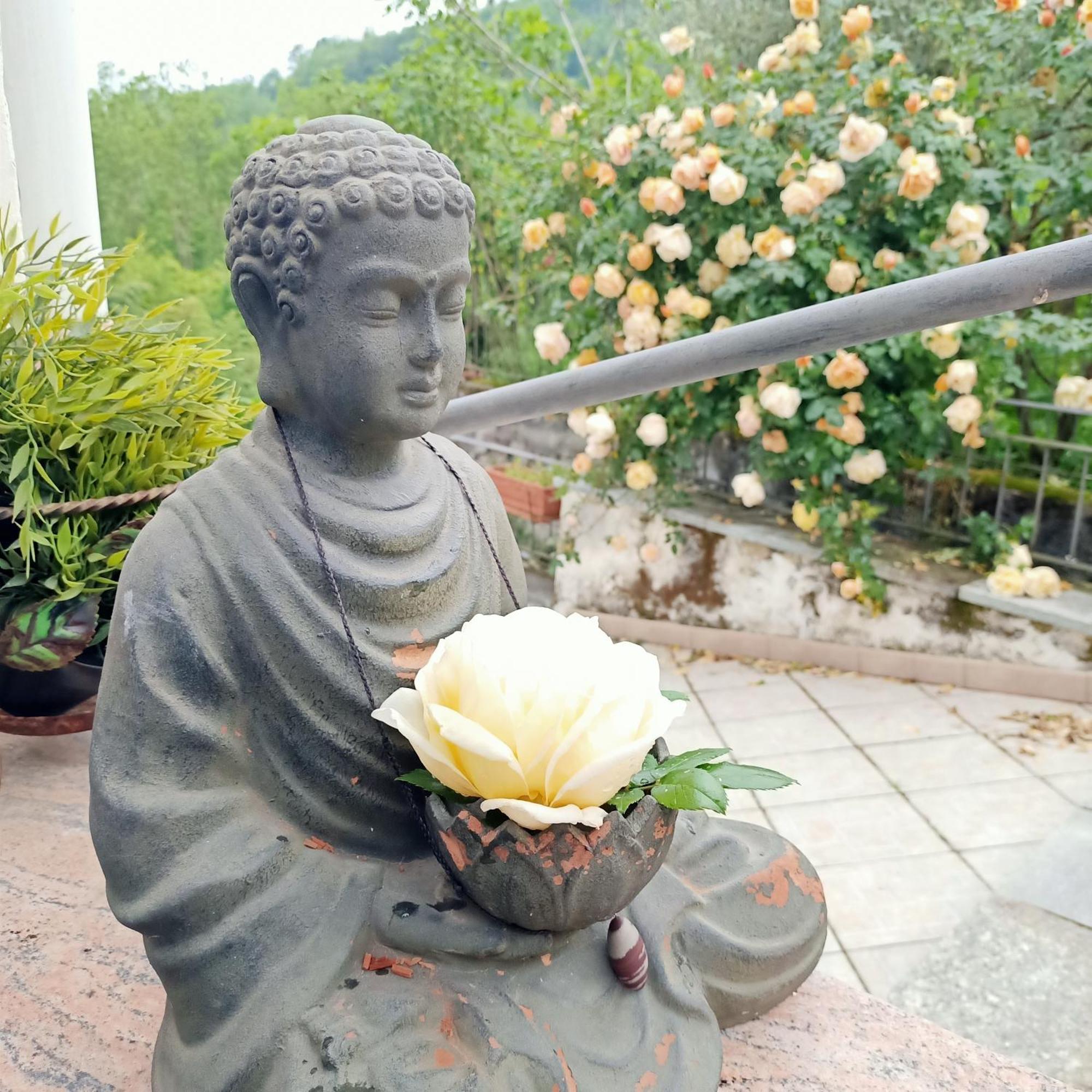 Amrita Rosa Otel Castellamonte Dış mekan fotoğraf